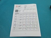 TESTOWANY Wtryskiwacz komplet Kia Carens II 0445110064 2.0 crdi