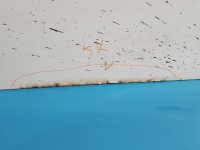 DRZWI PRZÓD PRAWE PASAŻERA Vw Crafter 06- 4d