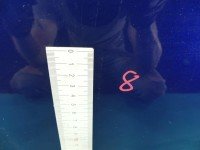 DRZWI PRZÓD LEWE KIEROWCY Hyundai Getz 3d granatowy BLUE ONYX [3E]