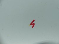 DRZWI PRZÓD LEWE KIEROWCY Renault Megane III 5d biały - DV369