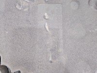 Osłona silnika górna Audi A5 8T 2.0 TFSI (CNCD)