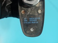 Antena Citroen C4 II 9665363880 KCH