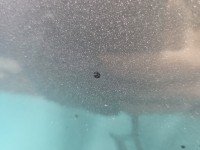 DRZWI PRZÓD LEWE KIEROWCY Mitsubishi Lancer VIII 5d szary A39