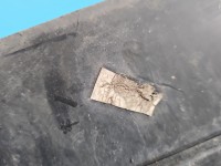 Zaślepka kratka zderzaka środkowa atrapa Peugeot 2008 II 9826327480