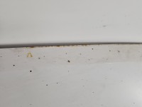 Maska przednia Fiat Ducato III 06-14 boxer jumper biały