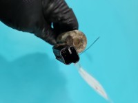 Czujnik faz rozrządu Citroen C4 Grand picasso I 06-13 9652536480 2.0 16V