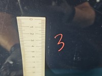 Drzwi tył lewe Fiat Grande Punto HB 5d Brak