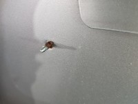 Klapa tył Skoda Octavia III kombi 5d LA7W