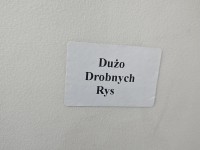 DRZWI PRZÓD LEWE KIEROWCY LEXUS RX II 03-08 5d grafitowy 1E0