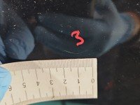 DRZWI PRZÓD PRAWE PASAŻERA Skoda Roomster 5d czarny LF9R