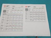 TESTOWANY Wtryskiwacz komplet Opel Corsa C 1.3 cdti 0445110083