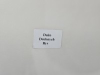 Drzwi tył prawe Toyota Corolla Verso II HB 5d 1C0