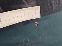 DRZWI PRZÓD PRAWE PASAŻERA Citroen C5 II X7 4d KTVD