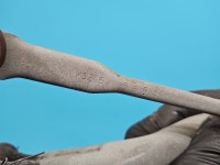 Mechanizm wycieraczek Citroen C4 Cactus 14-20 europa