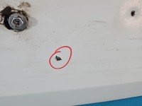 Drzwi tył lewe Citroen Berlingo II HB 5d EWP