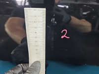 DRZWI PRZÓD LEWE KIEROWCY Renault Clio IV 12-20 5d TEGNE