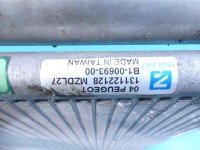 Chłodnica klimatyzacji Citroen C5 II X7 131133128, B1-00693-00 2.0 hdi