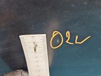 DRZWI PRZÓD LEWE KIEROWCY Citroen C1 I 5d czarny EXZ