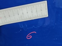 Drzwi tył lewe Fiat Ducato IV HB 5d 479