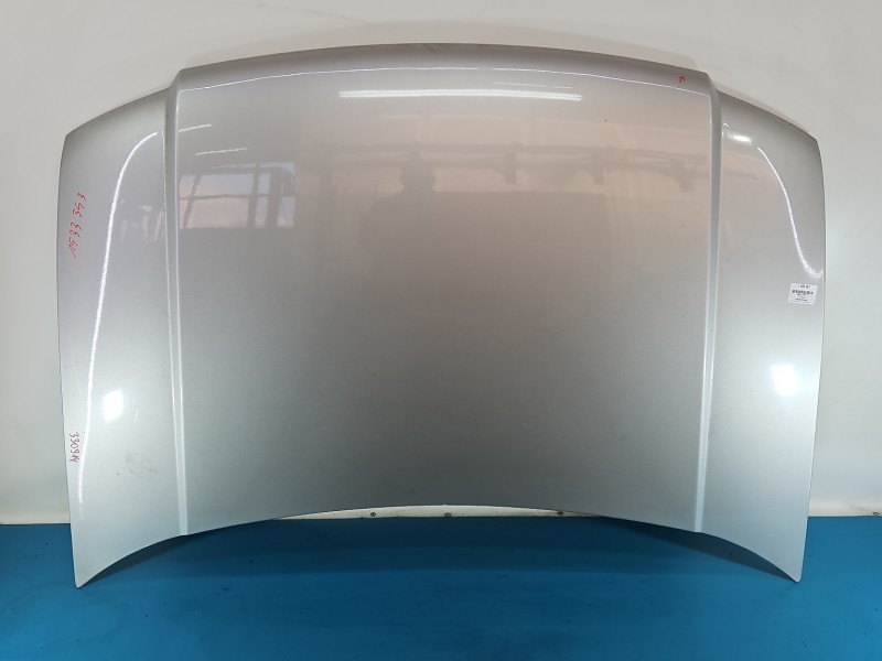 Maska przednia Ford Freestyle Taurus X beżowy PNUPL0 - Silver Birch Metallic