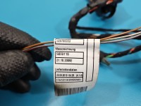 Instalacja Wiązka drzwi tył lewych BMW X6 E71 920786003, 6925548