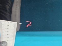 DRZWI PRZÓD LEWE KIEROWCY Honda Legend IV KB1 4d grafitowy B92P