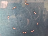 Maska przednia Vw Polo IV 9N LC6X