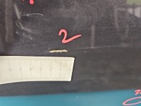 Drzwi tył prawe Peugeot 807 HB 5d grafitowy EYJC