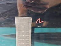 DRZWI PRZÓD LEWE KIEROWCY Mercedes W251 5d czarny 040