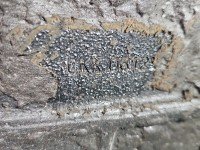 Most tylny DYFER tył Audi A4 B5 1.8 20V