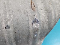 Osłona Producent części: FORD, termiczna podwozia, CV61-R114B06-AD Ford Kuga Mk2 II 13-19 1.5 Ecoboost