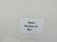 Drzwi tył prawe Toyota Land Cruiser 120 J120 HB 5d 1E9