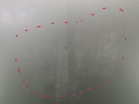 Maska przednia LEXUS RX II 03-08 4R4