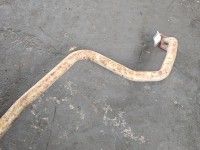 Tłumik WYDECH MG MG3 24- 1.5 16V 11139927