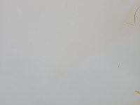 Maska przednia Dacia Sandero III 20- biały, DV369