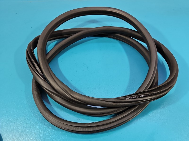 Uszczelka drzwi przód lewa BMW X3 G01 7393423