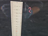 DRZWI PRZÓD PRAWE PASAŻERA Fiat Grande Punto 5d