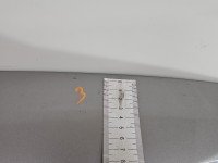 Klapa tył Toyota Yaris II HB 5d srebrny 1F8 Klapa tył Toyota Yaris II HB 5d srebrny 1F8