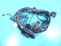 Instalacja Wiązka drzwi przód lewych BMW X5 E70 924207001, 9203113
