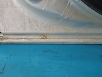 DRZWI PRZÓD LEWE KIEROWCY Honda CR-V II 5d NH623M