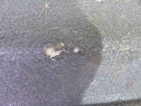 Półka tylna tył bagażnika Opel Vectra B