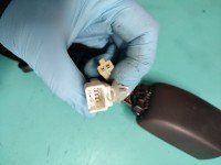 Pas bezpieczeństwa przód prawy pasażera Toyota Rav4 II 00-