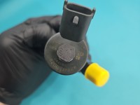 Wtryskiwacz Renault Scenic I 0445110146, 8200238528 1.9 dci