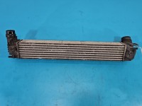 Intercooler Renault Megane III 2.0 Tce 144960022R