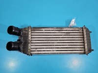 Intercooler Citroen C4 Cactus 14-20 9803900780 1.6 hdi