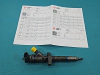 Wtryskiwacz Opel Movano II 0445110265 2.5 cdti