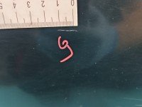 DRZWI PRZÓD LEWE KIEROWCY Toyota Yaris I 3d zielony 6R4