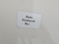 DRZWI PRZÓD LEWE KIEROWCY Citroen C3 Picasso 08-17 5d KARC