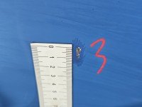 Drzwi tył lewe Renault Trafic II HB 5d niebieski DV489