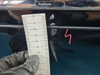 DRZWI PRZÓD LEWE KIEROWCY Honda Legend IV KB1 4d grafitowy B92P